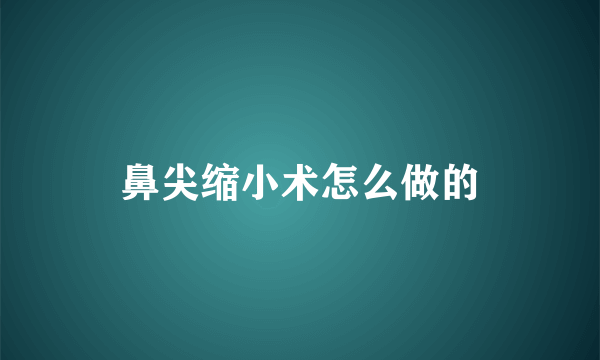 鼻尖缩小术怎么做的