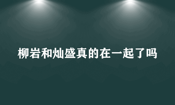 柳岩和灿盛真的在一起了吗