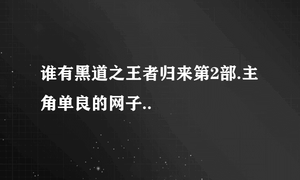 谁有黑道之王者归来第2部.主角单良的网子..