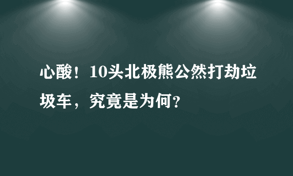 心酸！10头北极熊公然打劫垃圾车，究竟是为何？