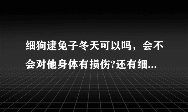 细狗逮兔子冬天可以吗，会不会对他身体有损伤?还有细狗的脚趾尖，多长适合逮兔子？