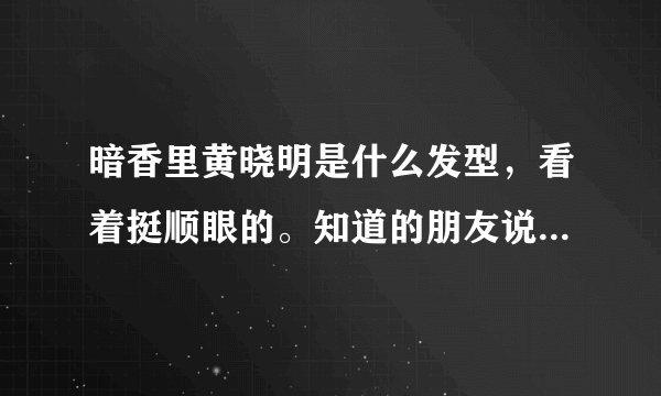 暗香里黄晓明是什么发型，看着挺顺眼的。知道的朋友说一声呗。