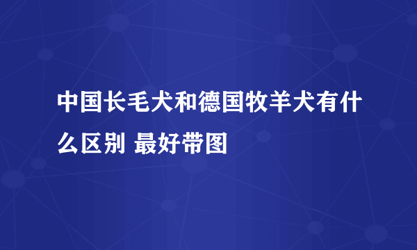 中国长毛犬和德国牧羊犬有什么区别 最好带图