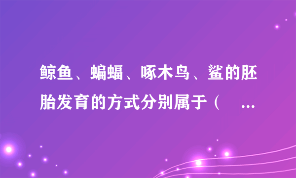 鲸鱼、蝙蝠、啄木鸟、鲨的胚胎发育的方式分别属于（　　）A.胎生、胎生、卵生、卵胎生B. 胎生、卵生、卵胎生、卵生C. 胎生、卵生、卵生、卵胎生D. 胎生、胎生、卵胎生、卵生