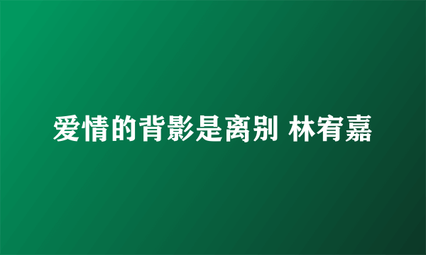 爱情的背影是离别 林宥嘉