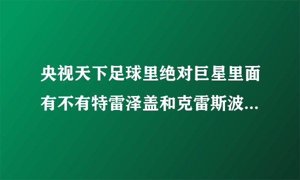 央视天下足球里绝对巨星里面有不有特雷泽盖和克雷斯波的专辑？