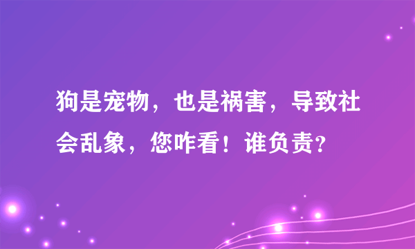 狗是宠物，也是祸害，导致社会乱象，您咋看！谁负责？