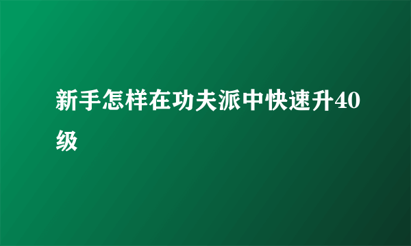 新手怎样在功夫派中快速升40级