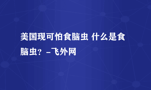 美国现可怕食脑虫 什么是食脑虫？-飞外网