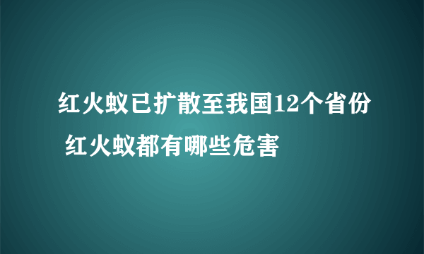 红火蚁已扩散至我国12个省份 红火蚁都有哪些危害