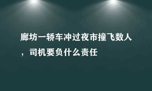 廊坊一轿车冲过夜市撞飞数人，司机要负什么责任