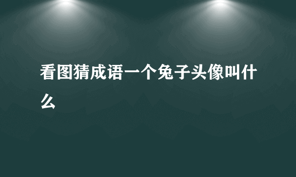 看图猜成语一个兔子头像叫什么