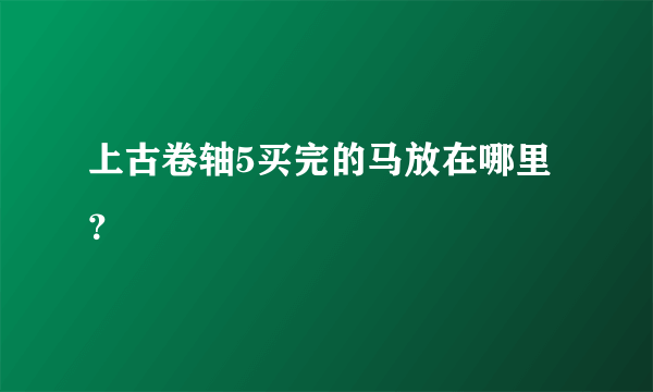 上古卷轴5买完的马放在哪里？