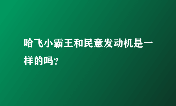 哈飞小霸王和民意发动机是一样的吗？