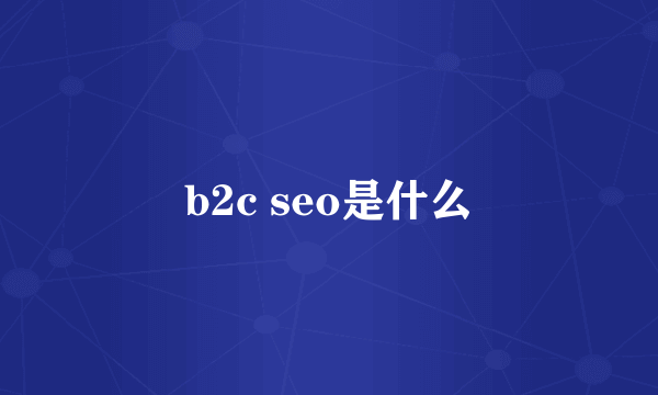 b2c seo是什么