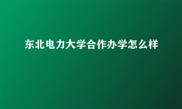 东北电力大学合作办学怎么样