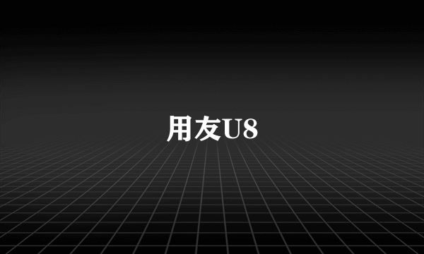 用友U8