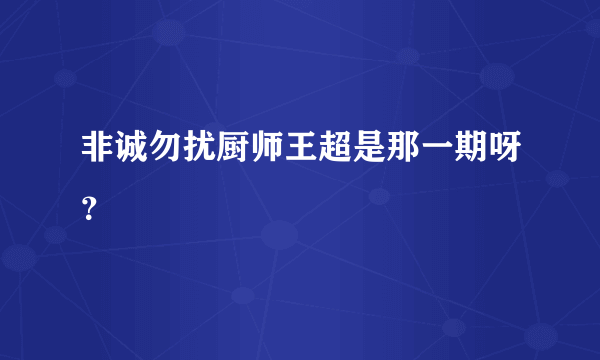 非诚勿扰厨师王超是那一期呀？