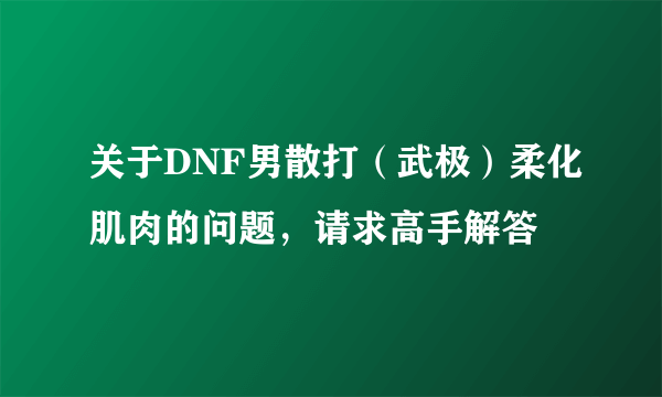 关于DNF男散打（武极）柔化肌肉的问题，请求高手解答