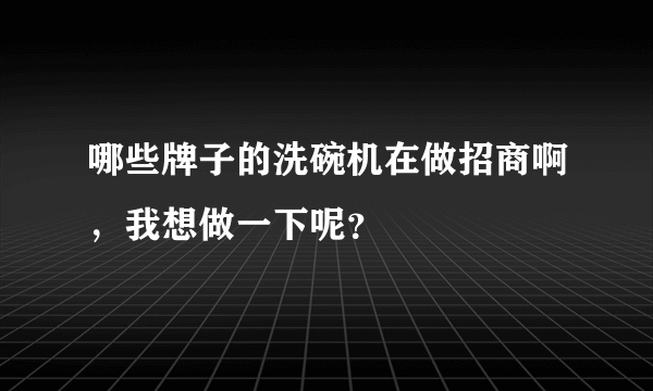 哪些牌子的洗碗机在做招商啊，我想做一下呢？