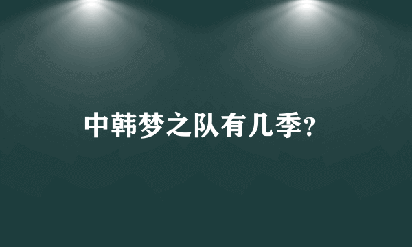 中韩梦之队有几季？