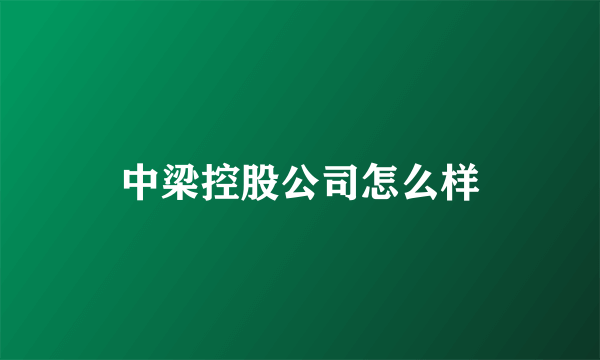 中梁控股公司怎么样