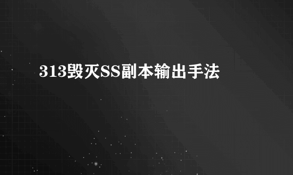 313毁灭SS副本输出手法