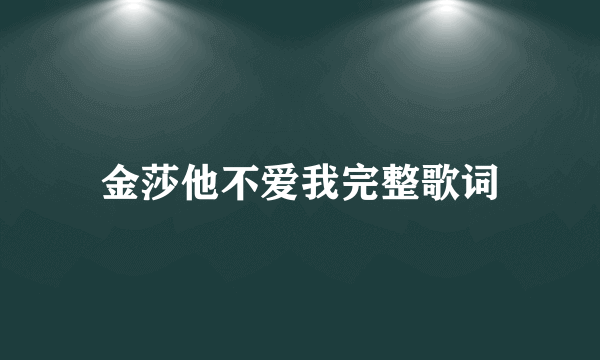 金莎他不爱我完整歌词