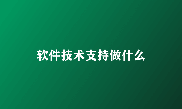 软件技术支持做什么