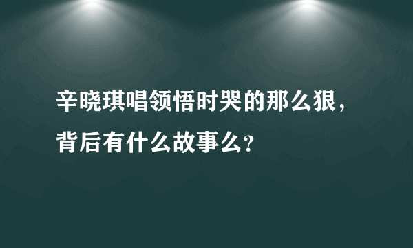 辛晓琪唱领悟时哭的那么狠，背后有什么故事么？