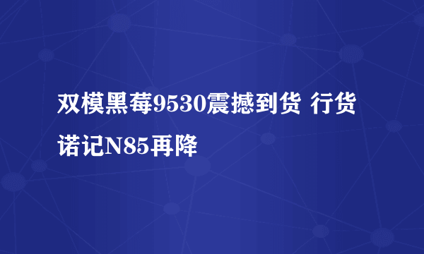 双模黑莓9530震撼到货 行货诺记N85再降