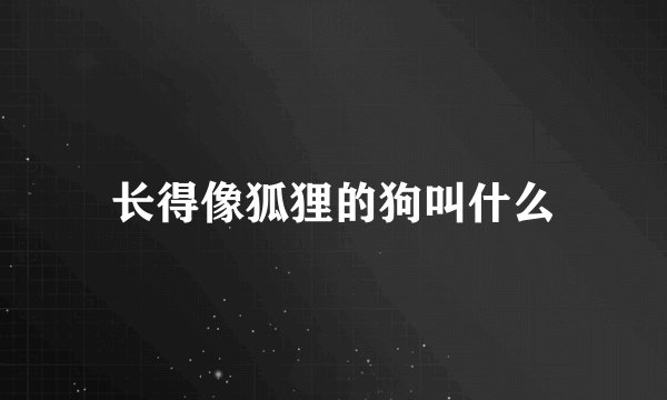 长得像狐狸的狗叫什么