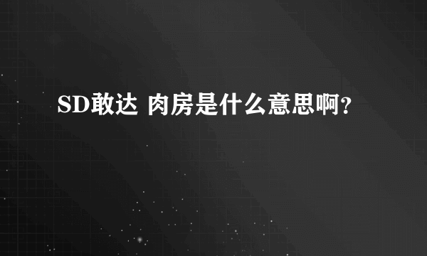 SD敢达 肉房是什么意思啊？