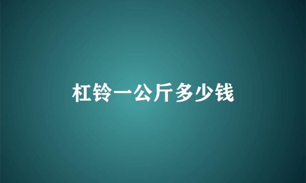 杠铃一公斤多少钱