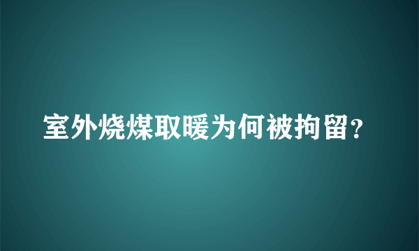 室外烧煤取暖为何被拘留？