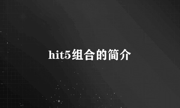 hit5组合的简介