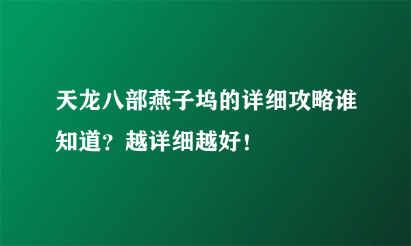 天龙八部燕子坞的详细攻略谁知道？越详细越好！