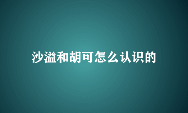 沙溢和胡可怎么认识的