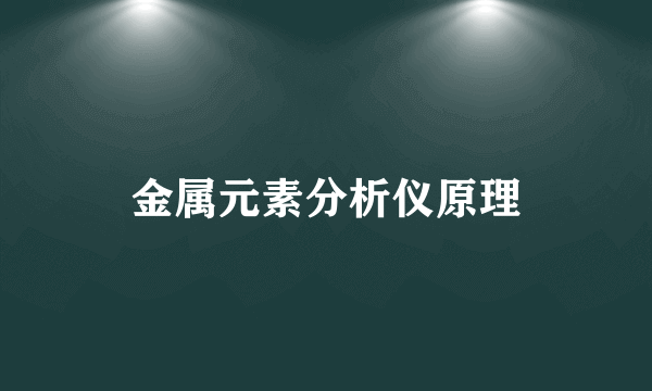 金属元素分析仪原理