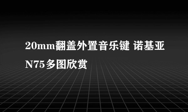 20mm翻盖外置音乐键 诺基亚N75多图欣赏