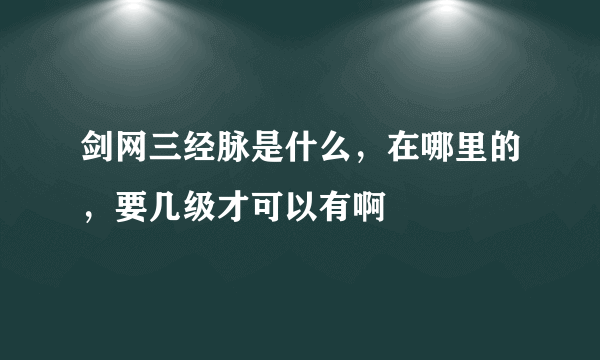 剑网三经脉是什么，在哪里的，要几级才可以有啊