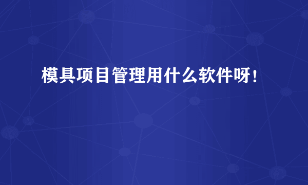 模具项目管理用什么软件呀！