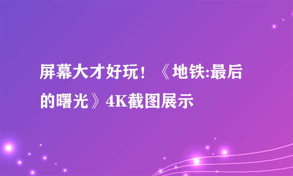 屏幕大才好玩！《地铁:最后的曙光》4K截图展示