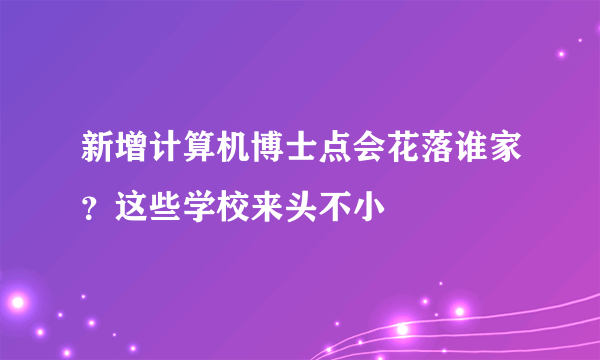 新增计算机博士点会花落谁家？这些学校来头不小