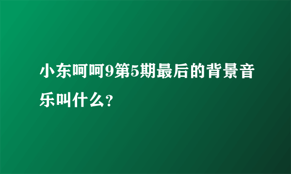 小东呵呵9第5期最后的背景音乐叫什么？