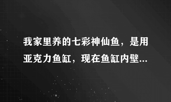 我家里养的七彩神仙鱼，是用亚克力鱼缸，现在鱼缸内壁长了许多绿色青苔类，用鱼缸擦，檫不？