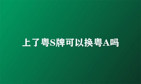 上了粤S牌可以换粤A吗