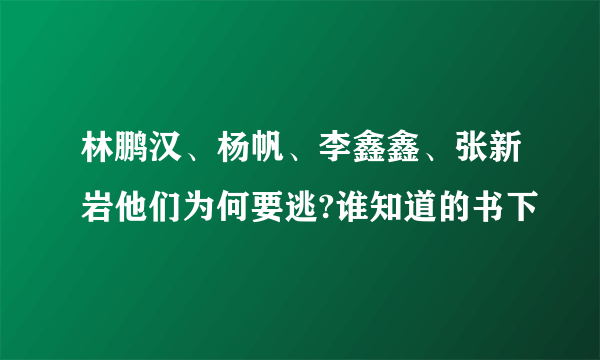 林鹏汉、杨帆、李鑫鑫、张新岩他们为何要逃?谁知道的书下