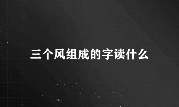 三个风组成的字读什么