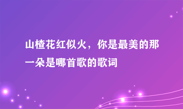 山楂花红似火，你是最美的那一朵是哪首歌的歌词